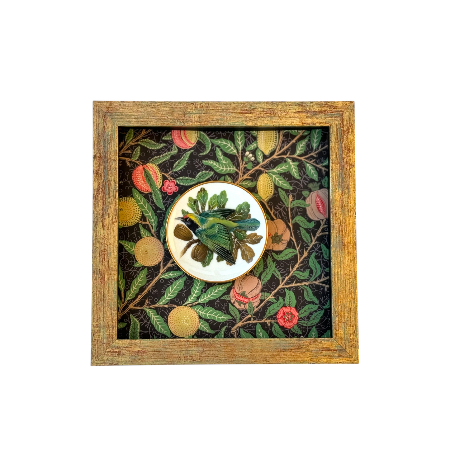 Çerçevelenmiş Franklin Mint “Songbirds of the World” Minyatür Tabak